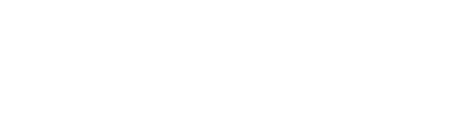 Hyundai-Logo-PNG-white
